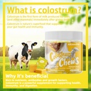 bovine-colostrum-chews-supplement-with-p-2.jpg