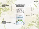leewell-ayurvedic-migraine-headache-reli-712+kGmNHyL.jpg