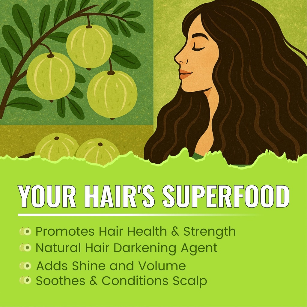 bralcon-amla-powder-100g-100-natural-ind-817C96Cb6wL.jpg