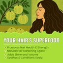 bralcon-amla-powder-100g-100-natural-ind-817C96Cb6wL.jpg