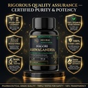 ashwagandha-500mg-root-extract-capsules--81nZWWHAzLL.jpg