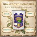 biotic-natural-gudmar-powder-400-gm-gymn-712bc6PraxL.jpg