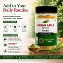 bhumi-amla-powder-organic-100g-pack-of-2-71R4SRklTxL.jpg