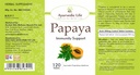 ayurvedic-life-papaya-leaf-tablets-120-t-715w7ega0sL.jpg