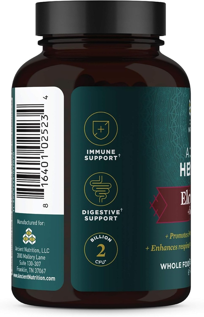 ancient-nutrition-elderberry-and-probiot-3.jpg