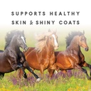 sho-glo-horse-vitamin-mineral-supplement-71VX3uzkpeL.jpg