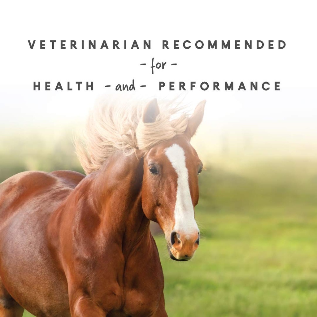 sho-glo-horse-vitamin-mineral-supplement-61JzkfNFhkL.jpg