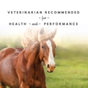 sho-glo-horse-vitamin-mineral-supplement-61JzkfNFhkL.jpg