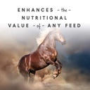 sho-glo-horse-vitamin-mineral-supplement-61aKT0erCZL.jpg
