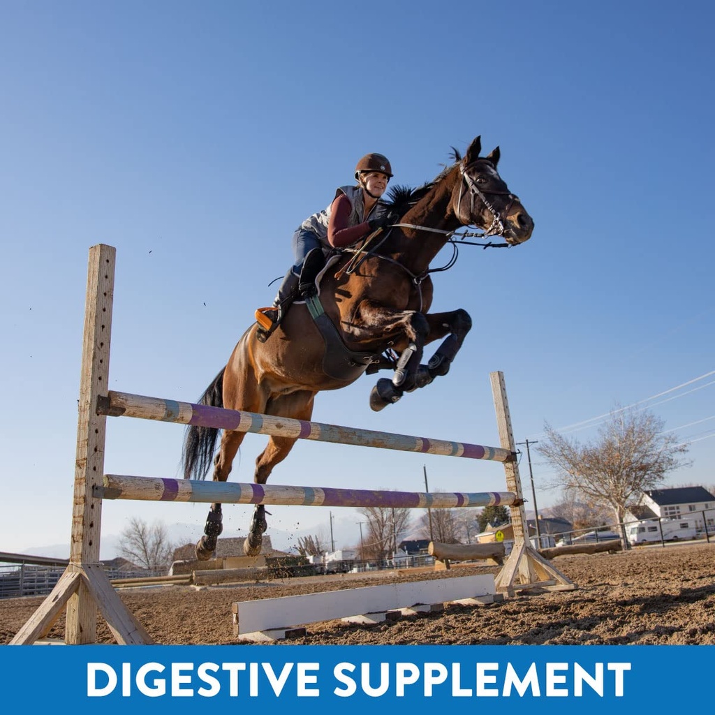 gastric-support-supplement-for-horses-re-71DgIH5KEmL.jpg