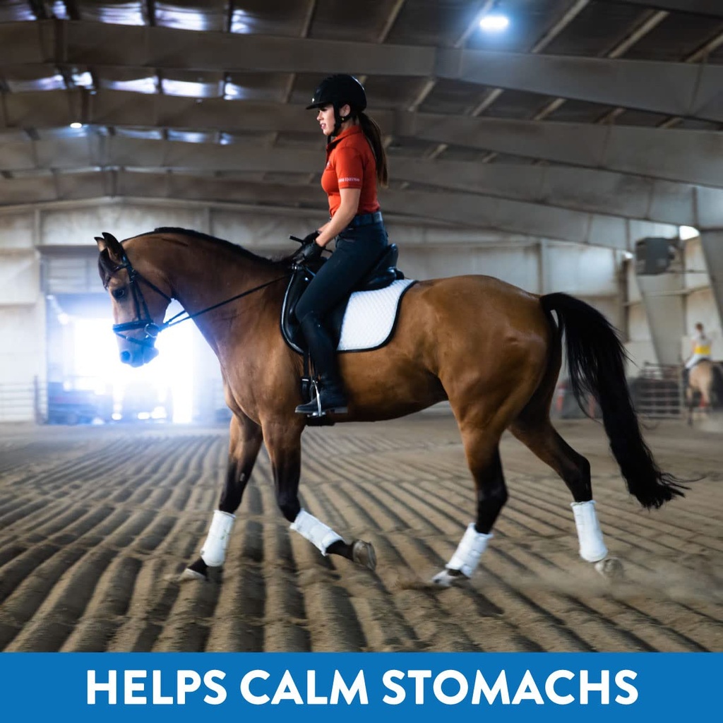 gastric-support-supplement-for-horses-re-61V4CkYd9WL.jpg