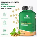 naturyz-organic-ashwagandha-highest-stre-612gy4gcfmL.jpg