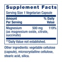 life-extension-magnesium-caps-500-mg-100-81ka-jMlVdL.jpg