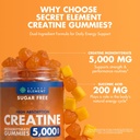 creatine-monohydrate-sugar-free-vegan-gu-71Osx42eWuL.jpg