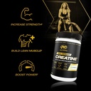 pvl-creapure-creatine-monohydrate-100-ge-61VvNQTizVL.jpg