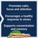 life-extension-ashwagandha-plus-calm-and-81ba4Osh2YL.jpg