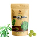 bhumi-amla-powder-natural-ayurvedic-herb-610lOsvDVIL.jpg