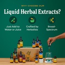 fast-absorption-liver-health-support-for-81q71k7fooL.jpg