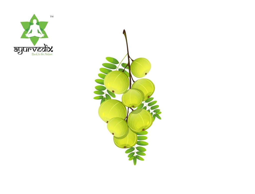 ayurvedix-organic-amla-powder-for-hair-g-61UJkCzY5PL.jpg