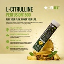 dr-in-l-citrulline-1000mg-l-arginine-500-61kXJbURfhL.jpg