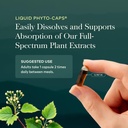 gaia-herbs-rhodiola-rosea-60-vegetarian--71+s9nMfxxL.jpg