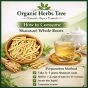 organic-herbs-tree-shatavari-whole-roots-714yT8gmpHL.jpg