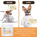 vitamin-c-for-dogs-and-cats-2-oz-57-scoo-81kkpcCSGjL.jpg