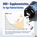 nad-supplement-12-in-1-liposomal-nad-plu-71whNMNBDiL.jpg