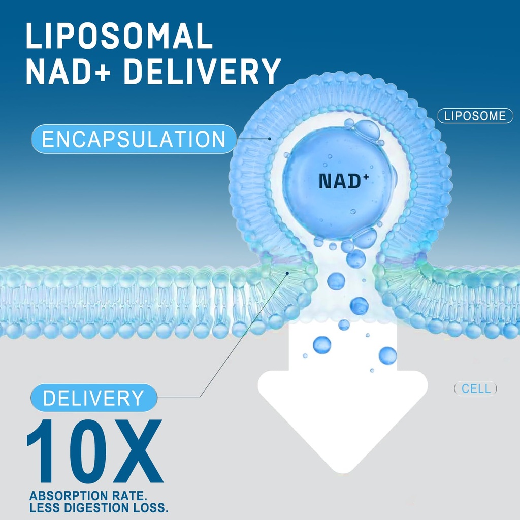 liposomal-nad-supplement-2150mg-with-res-71BY0nhim4L.jpg