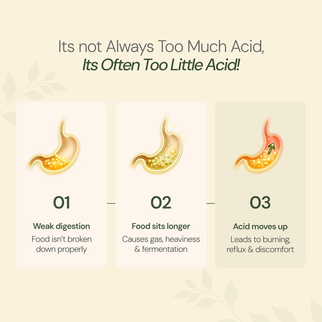 maharishi-ayurveda-amlant-acid-balance-m-71zCMNwe05L.jpg