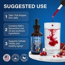 liposomal-nad-resveratrol-supplement-liq-81-AvvWdNuL.jpg