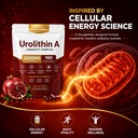 finding-ferdinand-urolithin-a-supplement-71nKL+Vj-KL.jpg