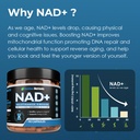 2010-mg-nad-supplement-nicotinamide-ribo-71r54yzl5CL.jpg