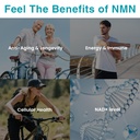 vegan-nmn-supplement-500mg-higher-absorp-71pOgaDOXAL.jpg
