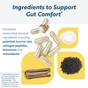 researched-nutritionals-renewgut-gi-comp-71P4oW6bUuL.jpg