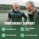 airboy-nad-supplement-liposomal-nicotina-71ne8YZuLfL.jpg