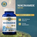 vykee-nutrition-niacinamide-capsules-vit-7179p0D-2aL.jpg
