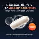 forestleaf-liposomal-nad-with-resveratro-710L98yf+tL.jpg