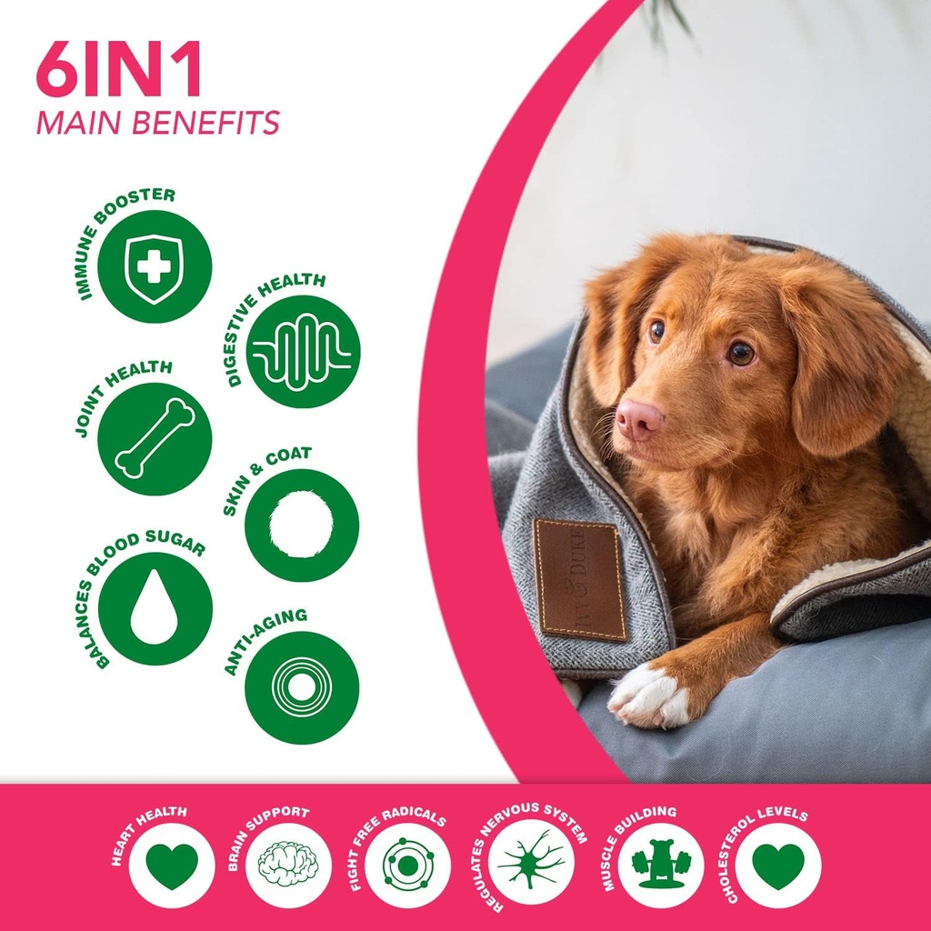 6-in-1-superfood-dog-supplement-with-org-4.jpg