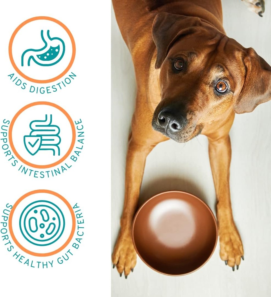 approx-120-servings-of-dog-probiotic-pow-3.jpg