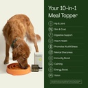 buddy-10-in-1-daily-dog-multivitamin-sup-2.jpg