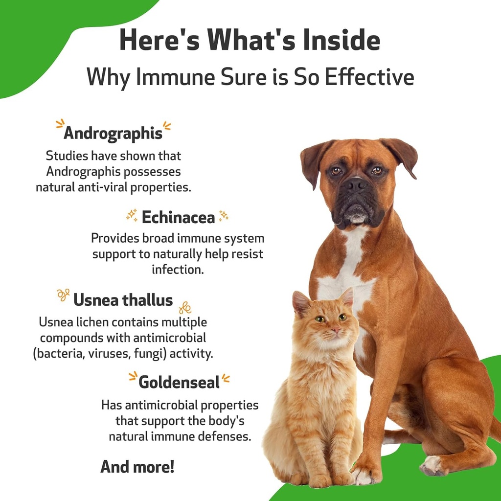 pet-wellbeing-immune-sure-for-dogs---sup-6.jpg