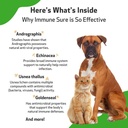 pet-wellbeing-immune-sure-for-dogs---sup-6.jpg