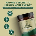 natural-rems-organic-shilajit-gummies-fo-4.jpg