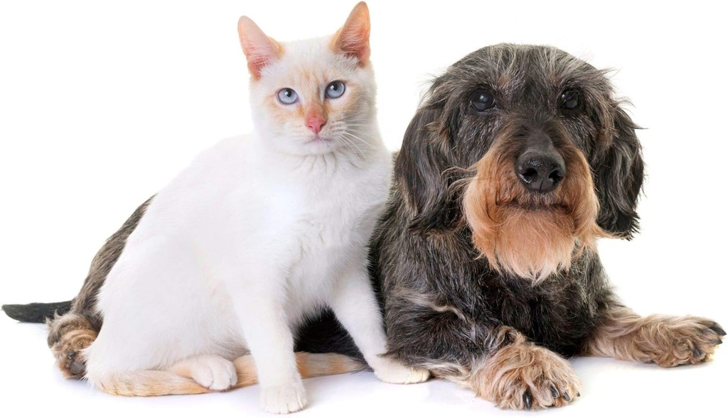 cat-urine-treats---pets-urinary-health-c-3.jpg