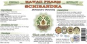 schisandra-alcohol-free-liquid-extract-o-2.jpg