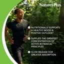 naturesplus-herbal-actives-st-johns-wort-4.jpg