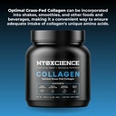 myoxcience-optimal-grass-fed-collagen-po-6.jpg