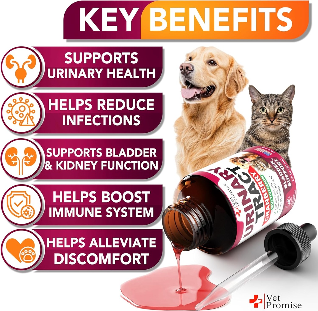 cat-dog-uti-treatment---urinary-tract-in-2.jpg