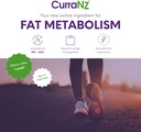 curranz-new-zealand-blackcurrant-extract-4.jpg